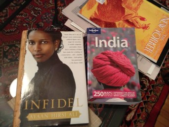 Reading for a sweltering day