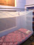 Bed_mosq net